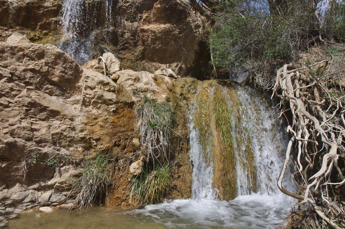 آپلود تصویر گالری 