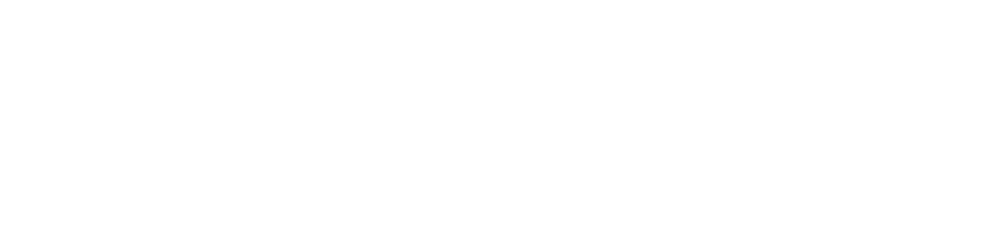 سازمان مهاجرتی حوری سلیمانی